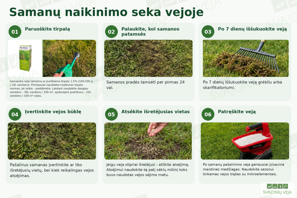 Geležies sulfato naudojimas samanoms vejoje naikinti – darbų seka