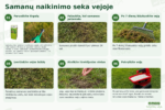 Geležies sulfato naudojimas samanoms vejoje naikinti – darbų seka