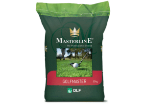 Dekoratyvios vejos sėklos Golfmaster