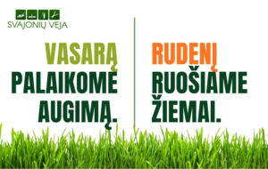 Vejos tręšimas vasarą ir rudenį – vasarą palaikomas augimas, rudenį veja ruošiama žiemai