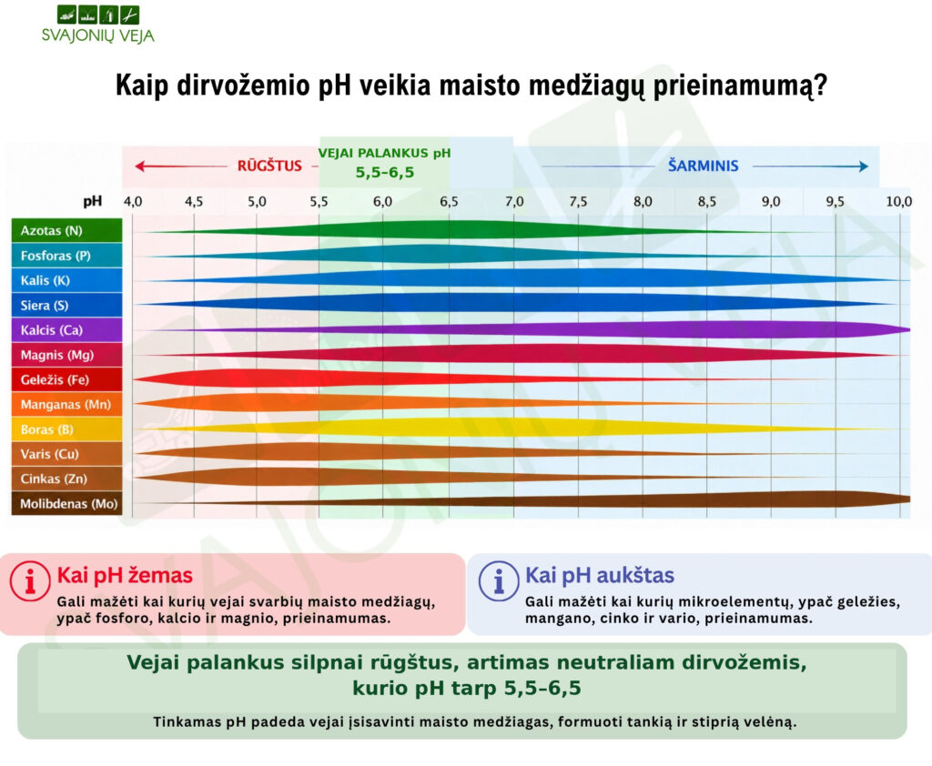 Dirvožemio pH įtaka maisto medžiagų prieinamumui vejai
